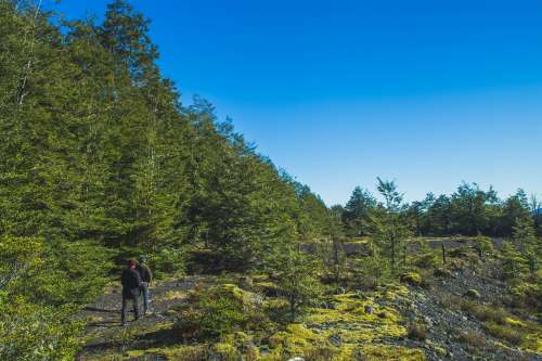 Venta Parcela El Volc�n