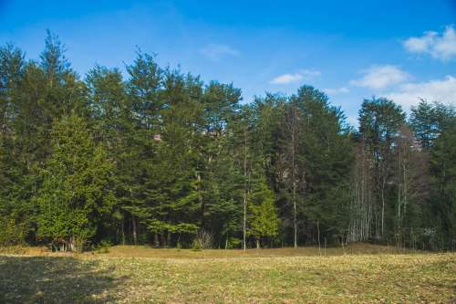 Venta Parcela con Orilla de R�o Liucura