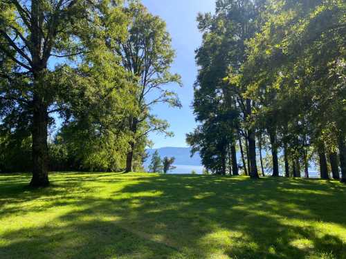 Venta Parcela N�34 en Condominio Canto del Lago 