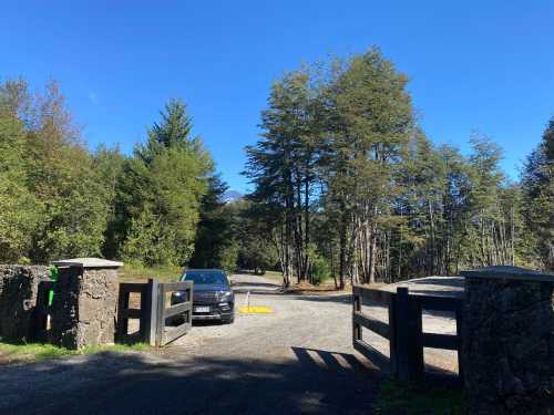 Venta Parcela N� 43 en Loteo Bosque Puc�n 