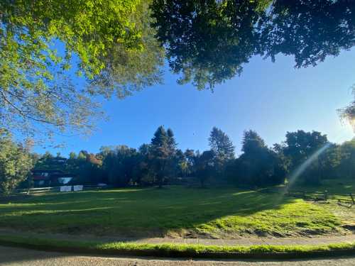 Venta Sitio N� 31 en Condominio Parque Del Lago