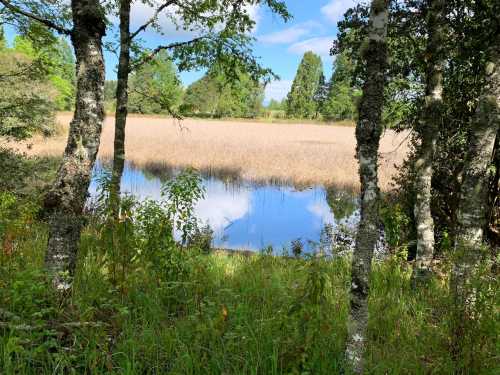 Venta Parcela N� 65 en Loteo de parcelas del Arrayan