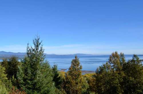 Venta Parcela N�7 en Condominio R�o Plata, Puc�n