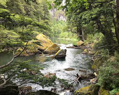 Venta Campo 40 hect�reas en Puesco