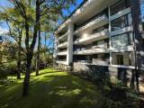 Arriendo Departamento N� 107 en Condominio Puc�n Infinity 
