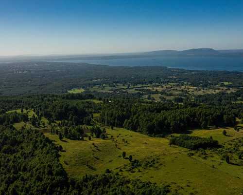 Venta Parcela N� 57 en Condominio Gran Roble Puc�n