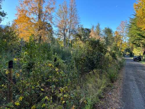 Venta Parcela en sector Metre�ehue, a 10km de Puc�n