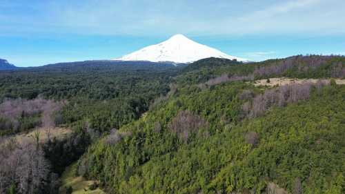 Venta Parcela B-24 en Condominio Gran Roble, Puc�n