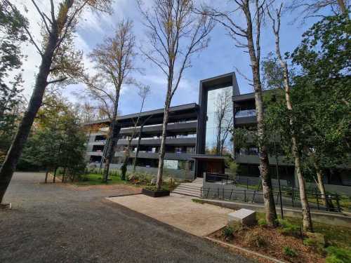 Venta Departamento N�108 Torre Lingue en Condominio Puc�n Andino Limited