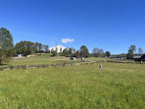 Venta Parcela con Vista al Lago y al Volc�n en Condominio Vista Lago