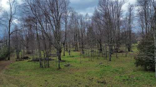 Parcelas en Loteo Las Tranqueras, Candelaria, Puc�n 