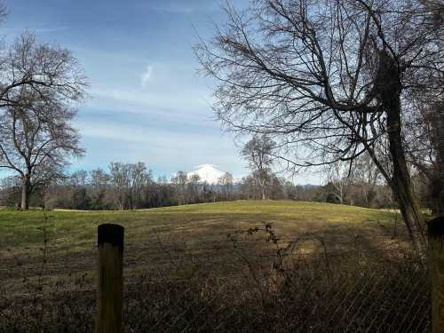 Venta 2 Parcelas en Loteo San Carlos, Piedra Amarilla, Villarrica 