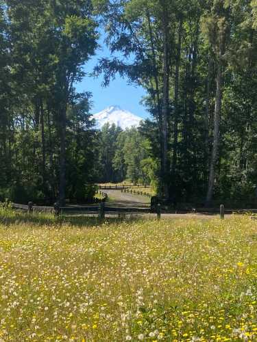 Venta Parcela N�11 en Condominio Loncotraro Nativo