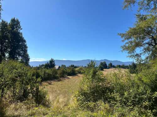 Venta Campo de 3ha en Sector Krause Candelaria Bajo