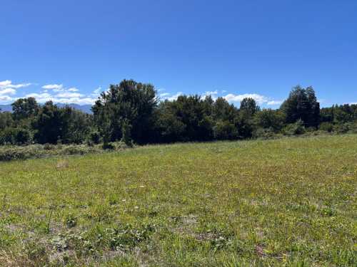 Venta Parcela N�12 en El Triwe 