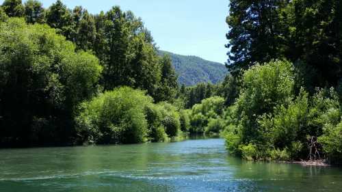 26 Hect�reas con Orilla de Rio Trancura - Campo San Jos�, Palgu�n Bajo