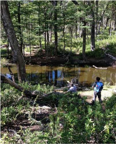 Campo Los Nevados de 36 Hect�reas