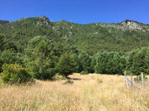 Venta Terreno de 2 Ha en Palgu�n Alto