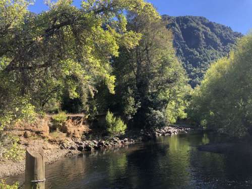 Venta Campo 9 Hect�reas Sector Relicura Alto, Curarrehue