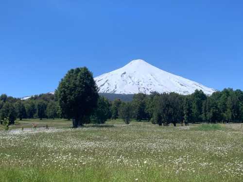 Venta 2 Parcelas en Condominio La Reserva de Puc�n