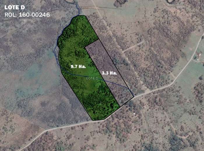 Planos Venta Campo Panqui 9,7 Hect�reas